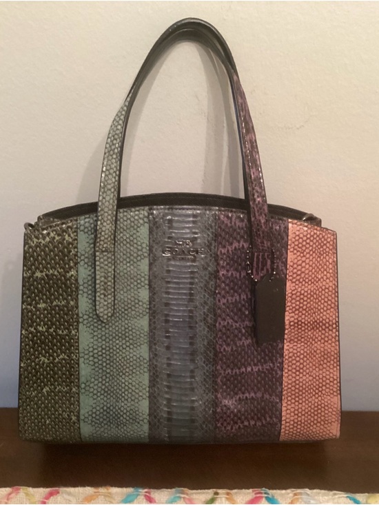 Coach Charlie Carryall 28